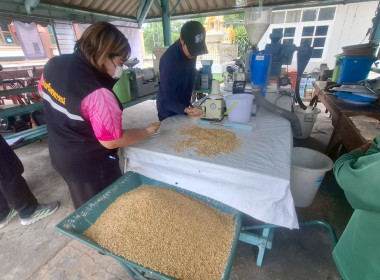 สำนักงานสหกรณ์จังหวัดชัยนาท ... พารามิเตอร์รูปภาพ 1